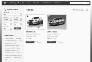 Car website